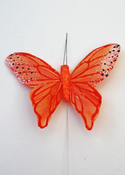 Veren vlinder de luxe oranje