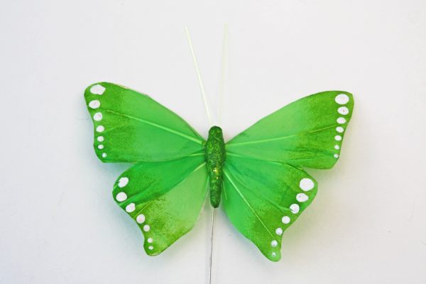 Veren vlinder maximus groen