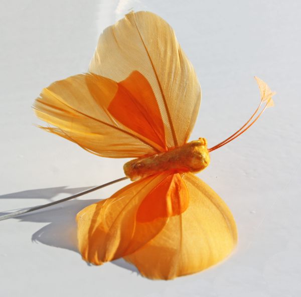 Veren vlinder oranje licht + donker