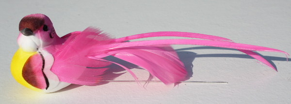 Veren vogel roze lange staart 206539