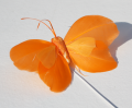 Veren vlinder oranje met licht oranje 206560
