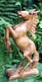 Paard_53fc93a3b38a5.jpg