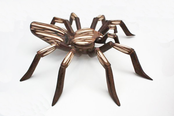 SpinTarantula 4 M bruin dubbele streep