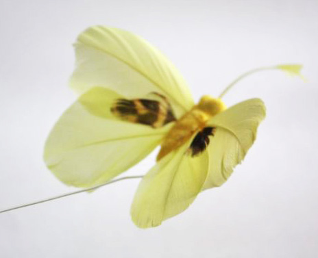 Veren vlinder 5 cm helder geel
