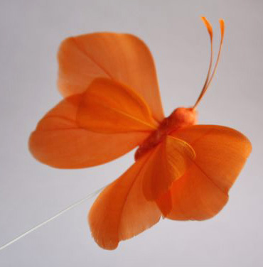 Veren vlinder Oranje + lichter