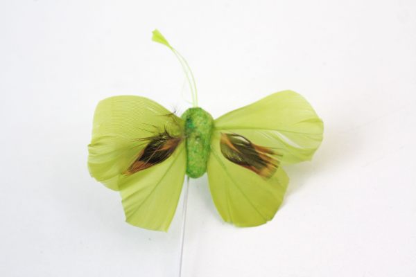 Veren vlinder groen 6 cm