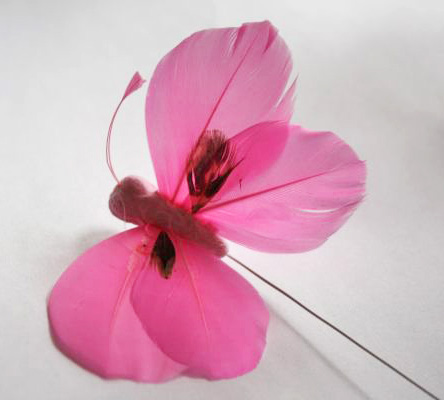 Veren vlinder roze bruin veertje