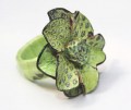 Leren ring groen
