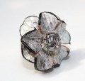 Leren ring wit