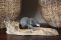 Olifant op hout 10049
