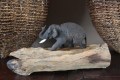 Olifant op hout 10050