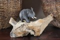 Olifant op hout 10055