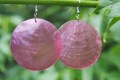 Oorbellen met roze schelphangers