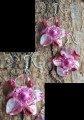 Oorbellen schelp bloem roze
