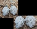 Oorbellen witte steentjes