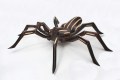 SpinTarantula 3 M  Zwart enkel