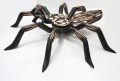 Spin Tarantula 6 M Zwart strepen en lijn