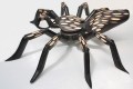 Spin Tarantula 8 M Zwart met meerdere strepen