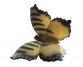 Stenen vlinder geel S