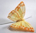 Veren vlinder 10 cm oranje