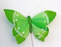 Veren vlinder 10 cm groen streep
