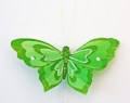 Veren vlinder 10 cm groen