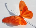 Veren vlinder 12 cm breed oranje