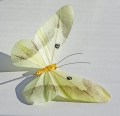 Veren vlinder 12 cm licht geel