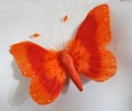 Veren vlinder 35 cm breed oranje
