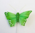 Veren vlinder 5,5 groen