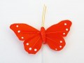 Veren vlinder 5,5 oranje