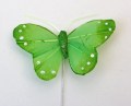 Veren vlinder 6 cm rond groen