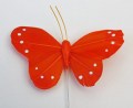 Veren vlinder 6 cm rond oranje