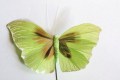 Veren vlinder Luxe groen 2