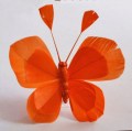 Veren vlinder Oranje met clip