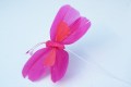 Veren vlinder Roze oranje 206553