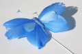 Veren vlinder blauw met lichtblauw 206562
