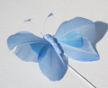 Veren vlinder blauw met donker blauw 206568