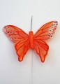 Veren vlinder de luxe oranje