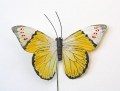 Veren vlinder de luxe geel tip