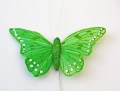 Veren vlinder de luxe groen