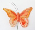 Veren vlinder de luxe oranje 2