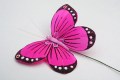 Veren vlinder donker roze 2013