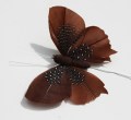 Veren vlinder donker bruin 206490