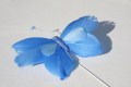 Veren vlinder donker blauw met licht blauw 206557