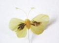 Veren vlinder geel 6 cm