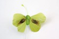 Veren vlinder groen 6 cm
