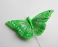 Veren vlinder groen 206387