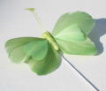 Veren vlinder groen met licht groen 206563