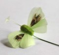 Veren vlinder klein 5 cm gebroken groen